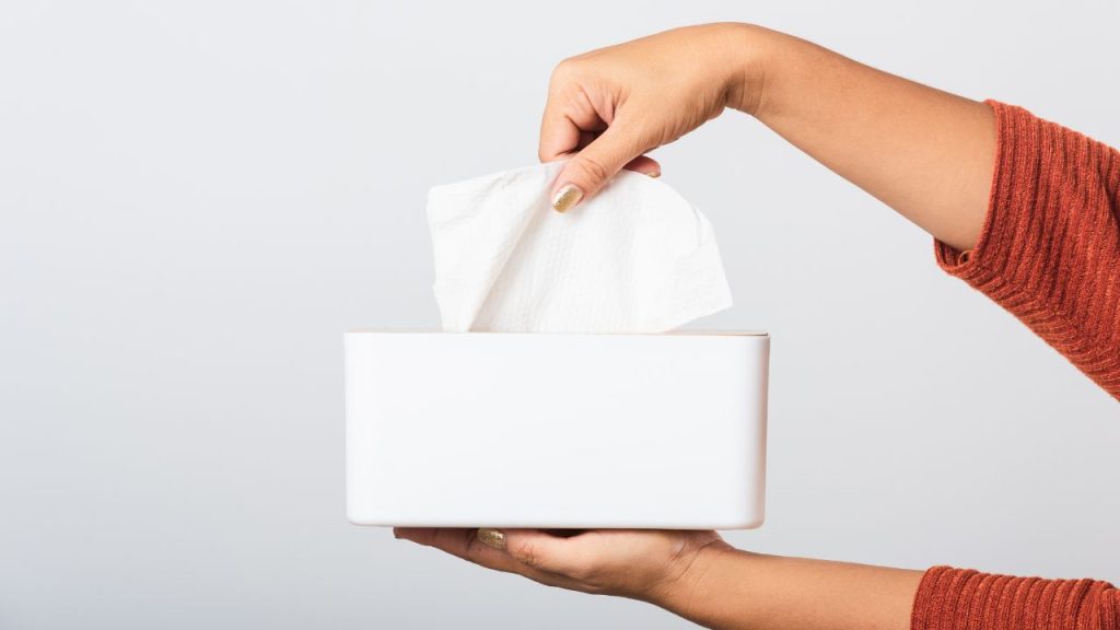 The Essential Role of Facial Tissues in Everyday Life